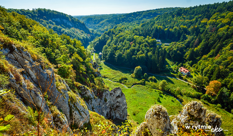 Zielona dolina jurajska