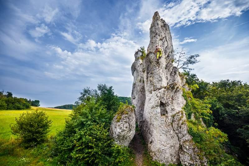 Wapienny ostaniec, krzewy, malownicza mozaika pół