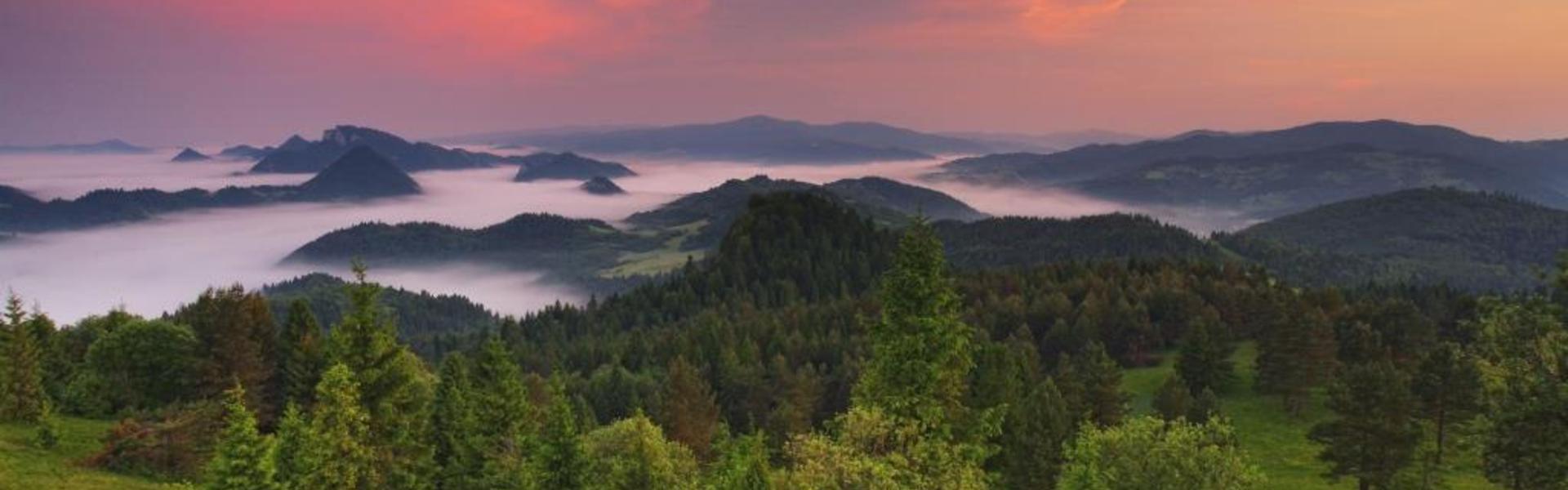 View of the Pieniny Mountains