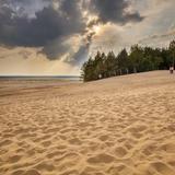 Image: Błędowska Desert