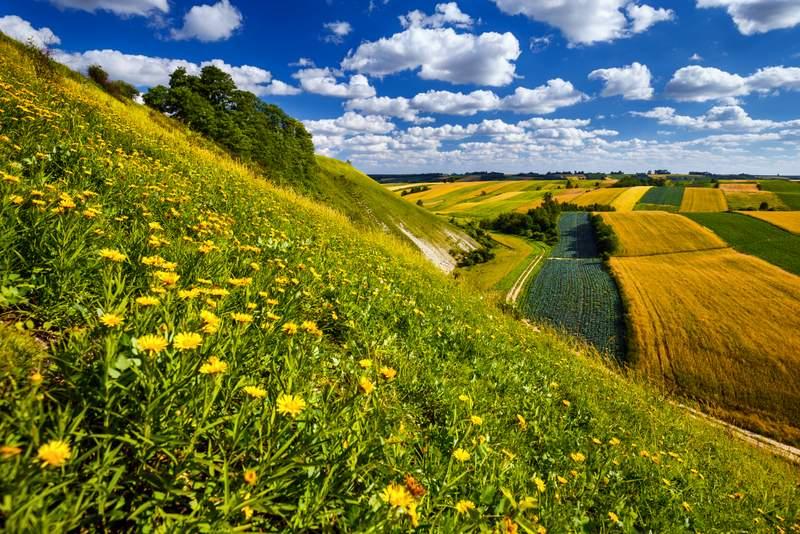 spring landscape with flowered hills and multi-coloured fields