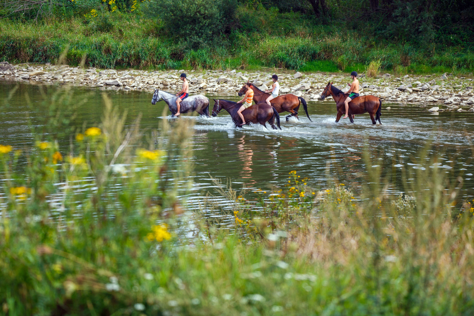 Jeździectwo Poprad