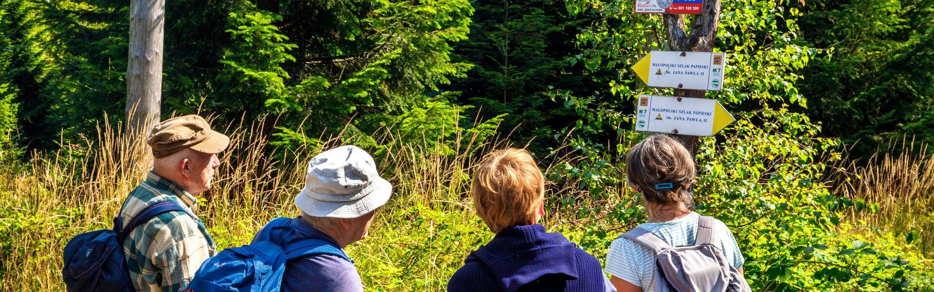 A group of people on a hiking trail looking at the tourist signage and information board. There are trees and vegetation all around.