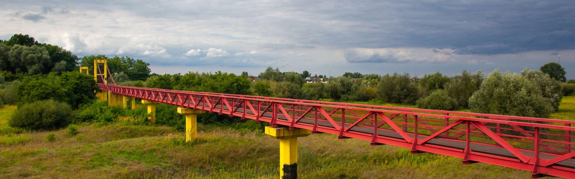 Wisząca kładka rowerowa nad mokradłami